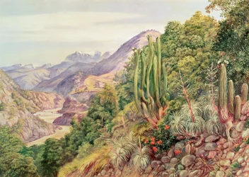 De stromen van Languenas in de Cordellera, Chili